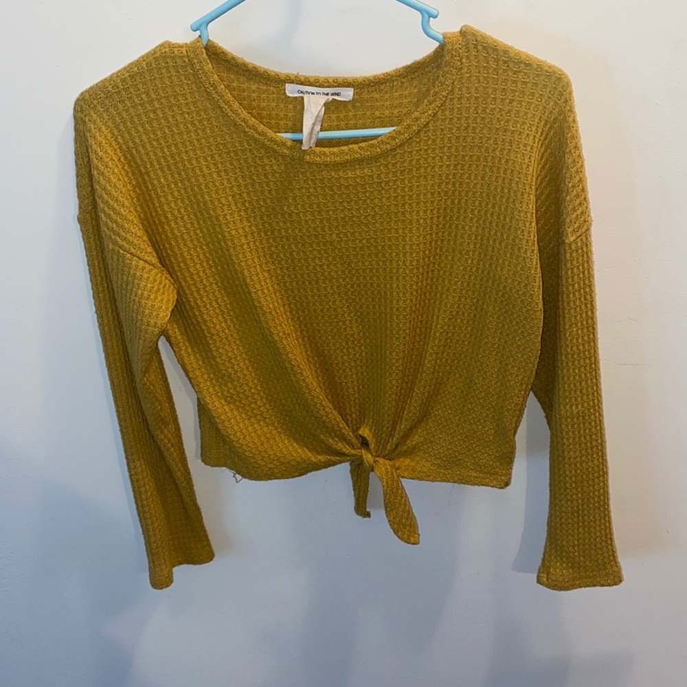 Caution to the Wind Knit Crop Sweater